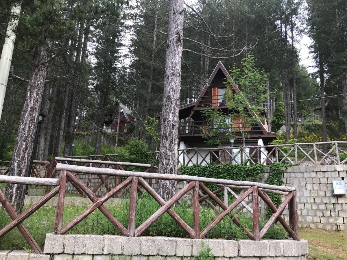 Chalet Natura Sport&Relax Cavaliere  المظهر الخارجي الصورة