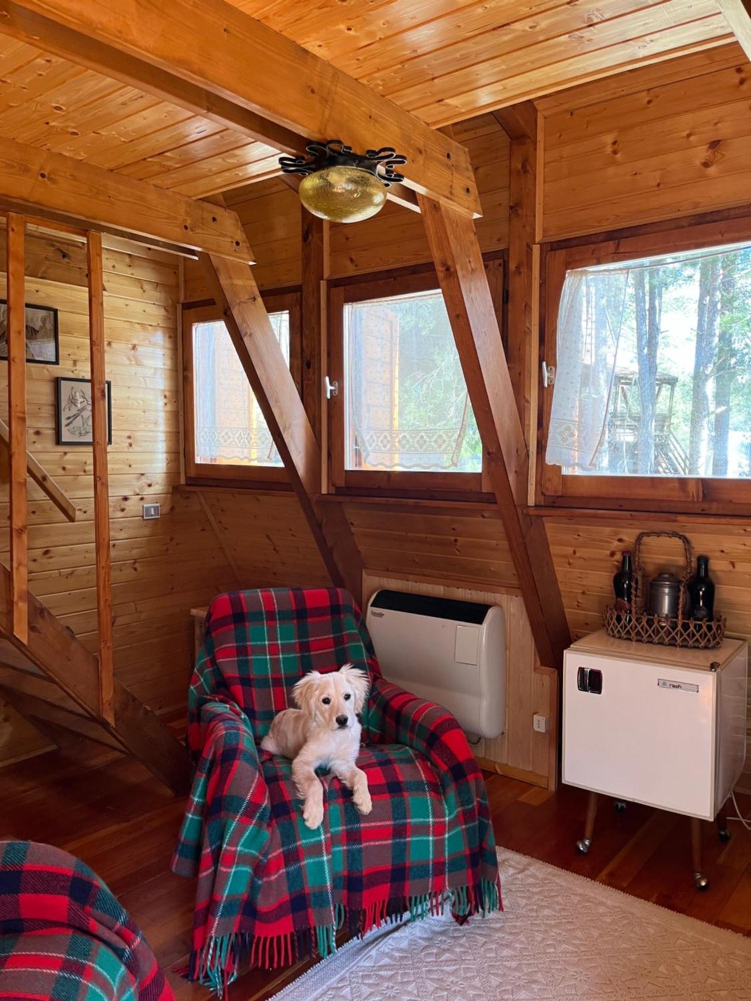 Chalet Natura Sport&Relax Cavaliere  المظهر الخارجي الصورة
